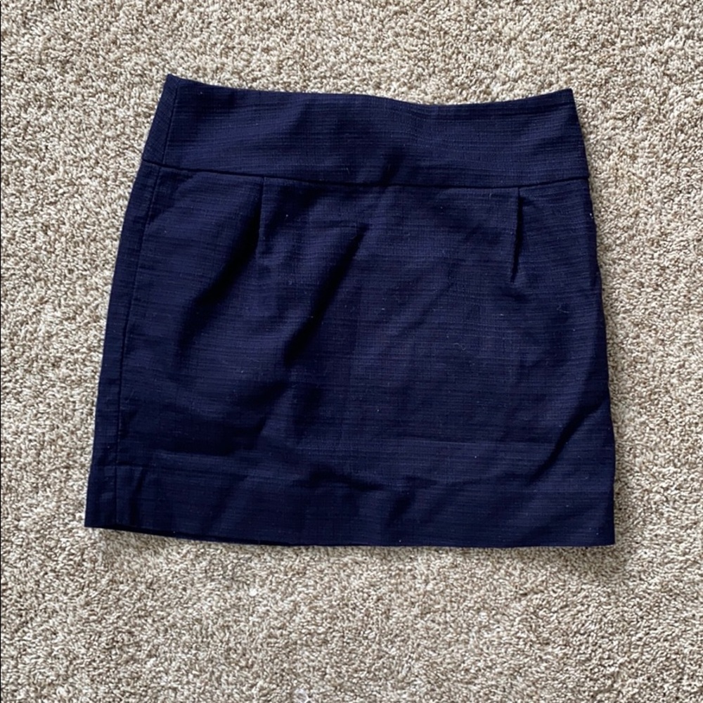 J Crew Skirt
